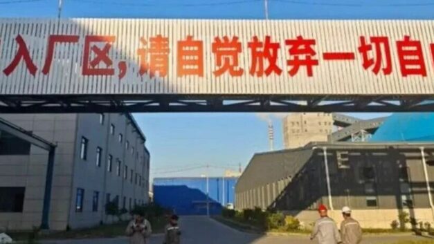 思恩府驿站｜以自由换取面包，终将失去自由和面包