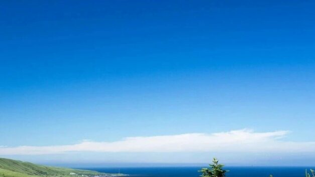 细说春秋｜春秋时期居然可以随意评价领导、议论国政