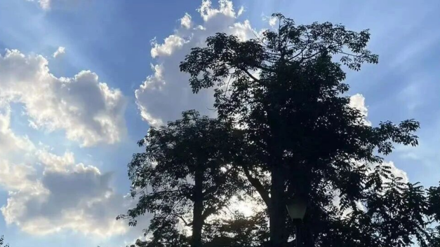 刘原｜2025：在时光的马蹄中，我们都是荡子