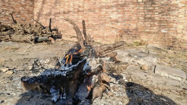 黑箱之下｜河北取暖费：一场被设计成“农民自费”的公共工程