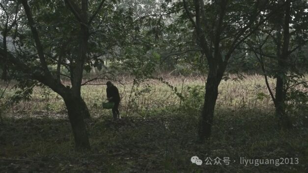 豫广｜妈的2025年