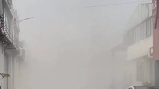 竹不倒｜做个人，就这么难吗？