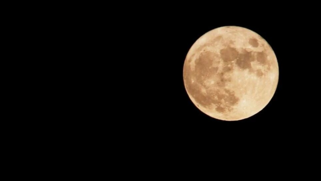 小干体｜贾老板更适合做家乡县委书记