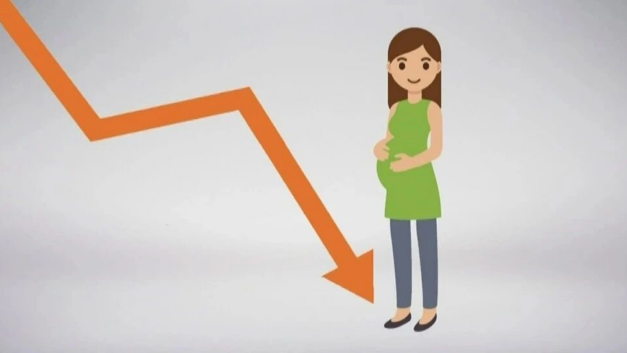 一个生物狗的科普小园｜人口学家怎么看美国生育率下降的问题