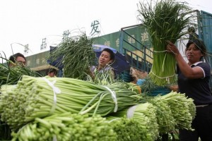 Farmers in Shanghai unload shocks of chives at the marketplace.