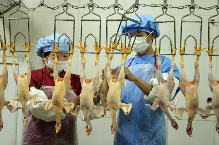 Antibiotics Abuse a Growing Threat in China