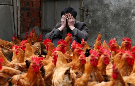 Evidence that H7N9 Spread Between Humans