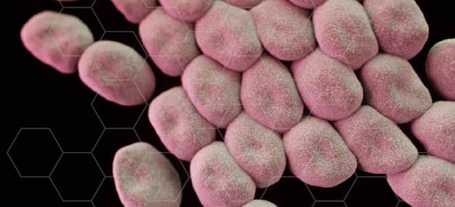U.S. CDC Warns of Looming “Post-Antibiotic Era”