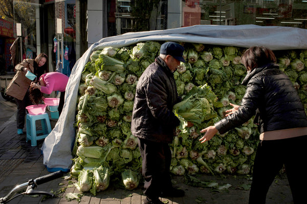 As Winter Nears, Beijing is Blanketed in Cabbage