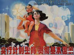 The Demographic Costs of the One-Child Policy
