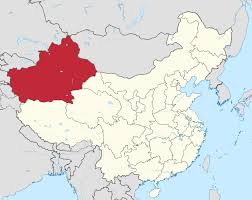 Police Shoot Eight Dead in Xinjiang Attack