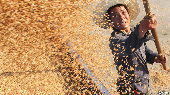 Majority of Chinese Oppose American GM Crops
