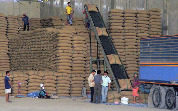 China Cancels Thai Rice Deal Amid Graft Probe