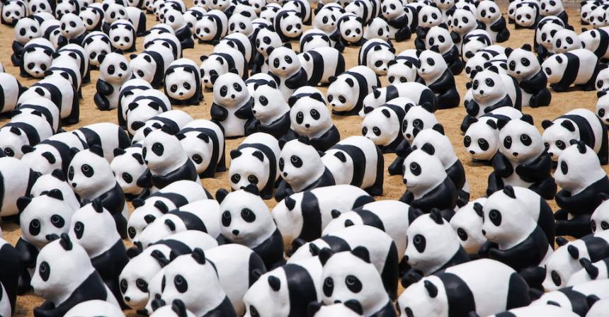 The Chinese Used to Think Pandas Were Monsters