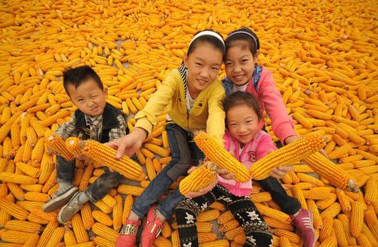 Shifting Priorities in Chinese Agriculture