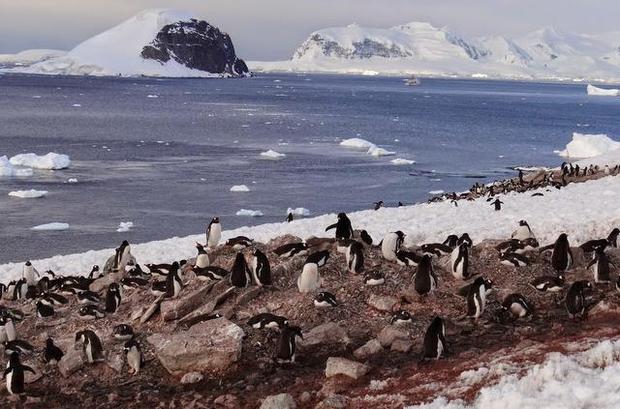 China Pursues Strategic Interests in Antarctica