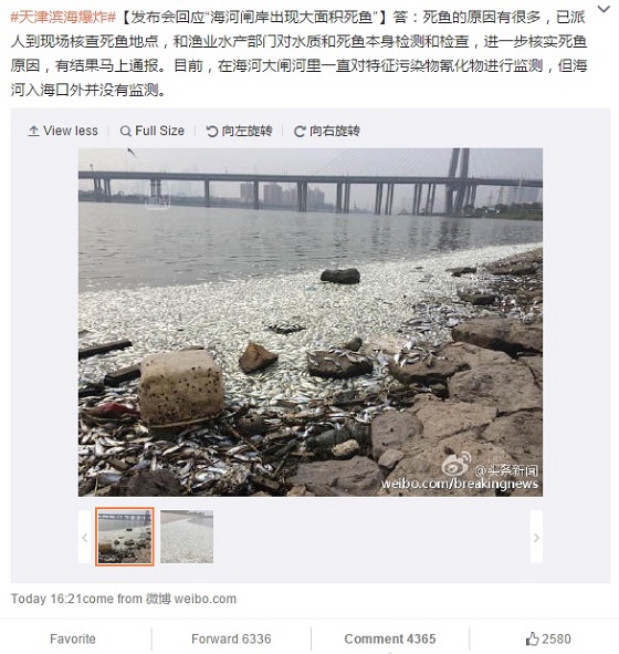 Netizen Voices: Tianjin Fish Filets