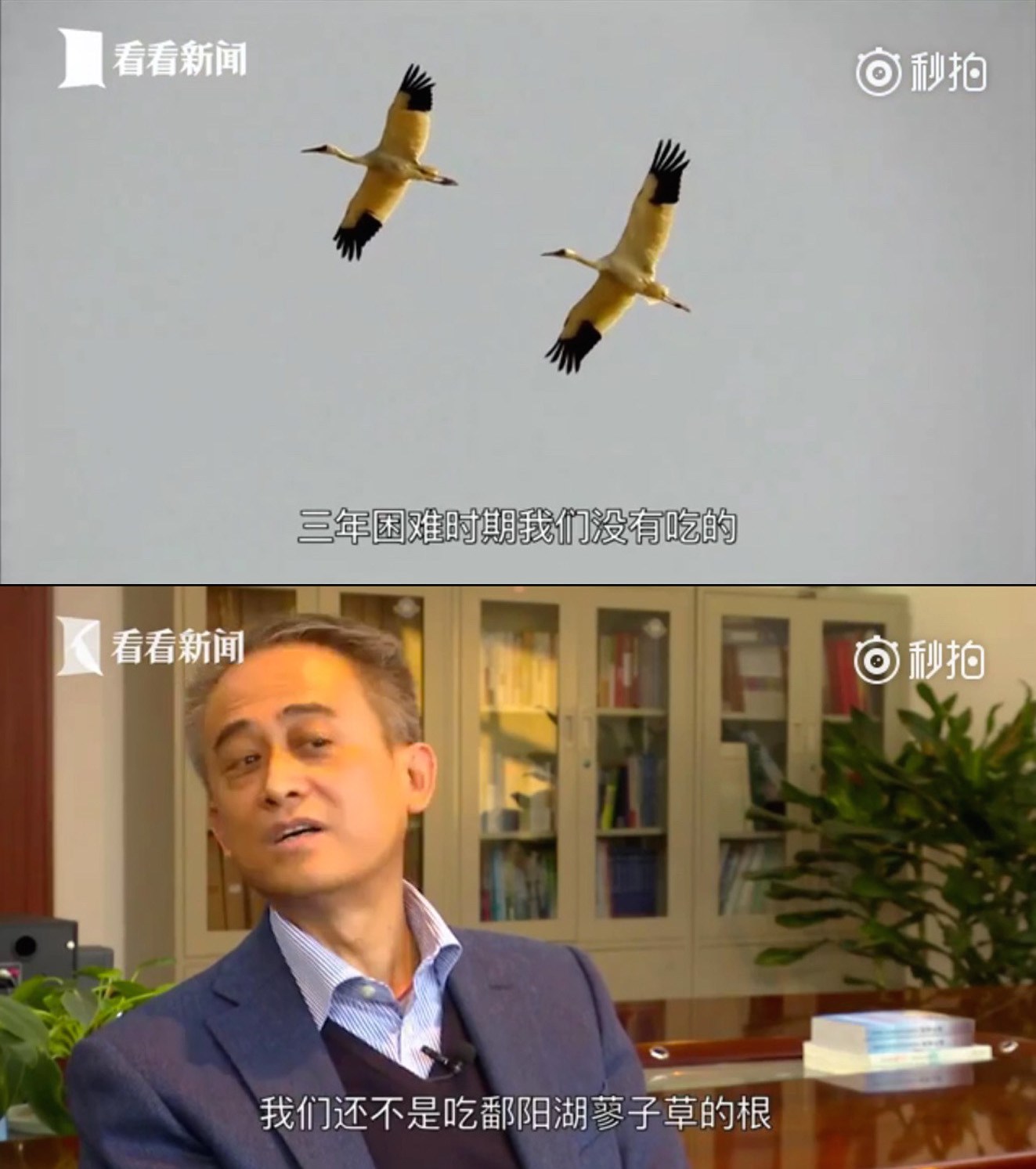 Netizen Voices: Official Tries to Manage Bird Evolution