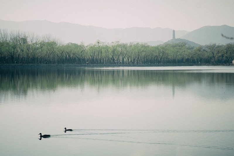 Photo: Spring in Summer Palace, by Megan Wong