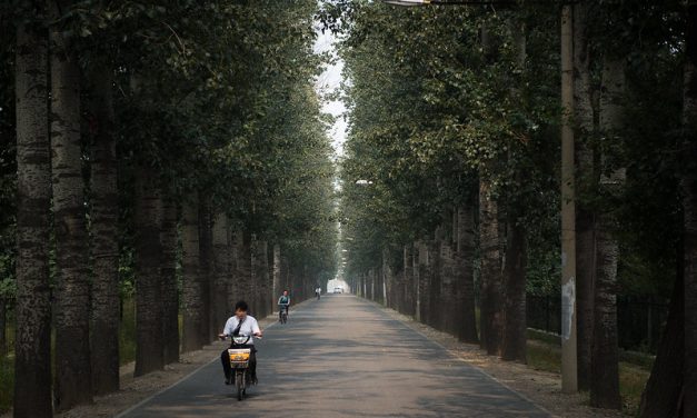 Photo: Beijing, by Tauno Tõhk