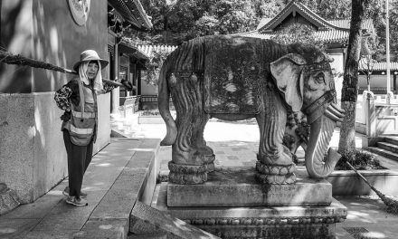 Photo: The elephant sweeper, by Gauthier DELECROIX