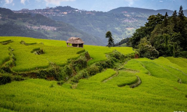 Photo: Rice fields of Yuanyang, by mzagerp