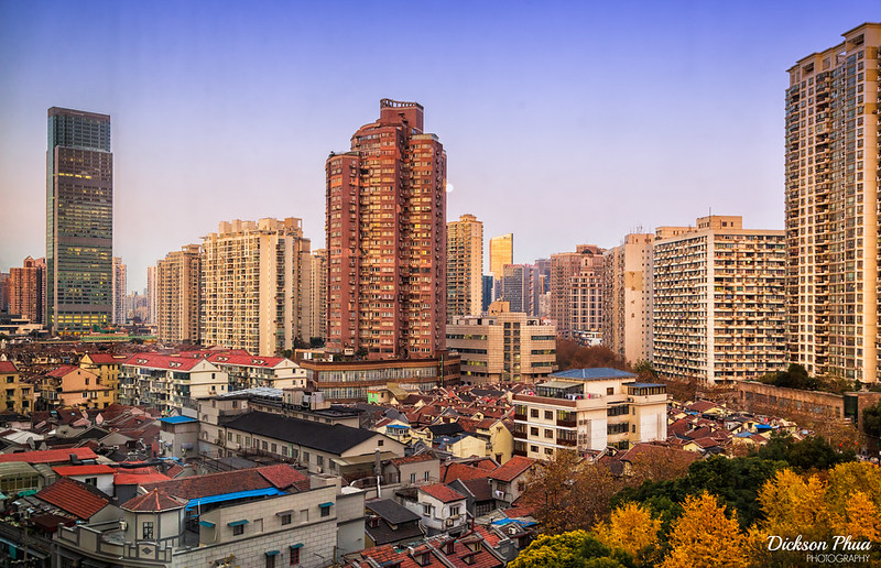 Photo: The Emerging Urban Jungle of Shanghai, by Dickson Phua