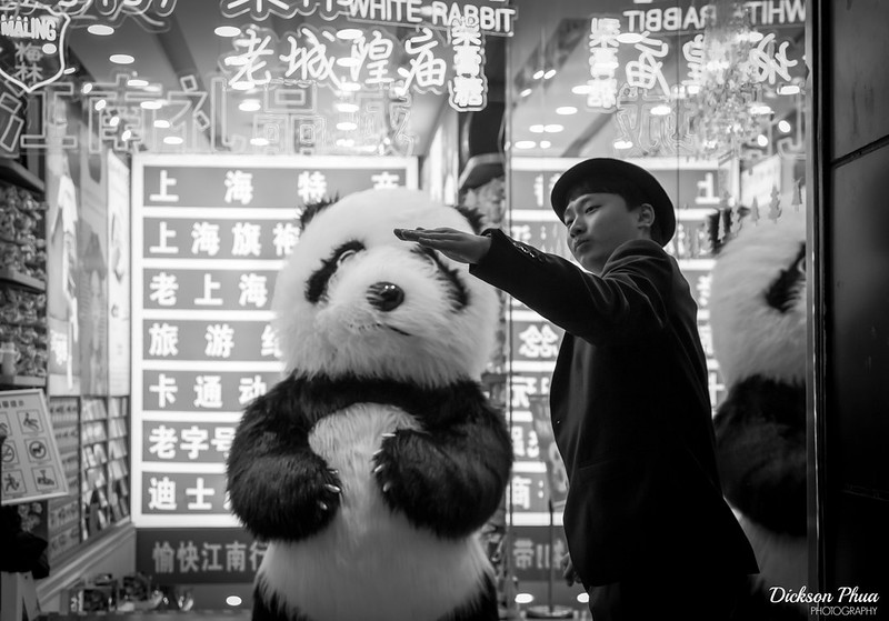 Photo: The Panda Mascot and His Partner, by Dickson Phua