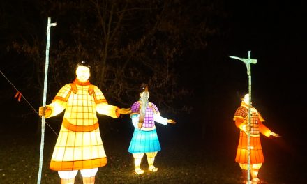 Photo: Chinese Lantern Festival, by Andrew Milligan sumo