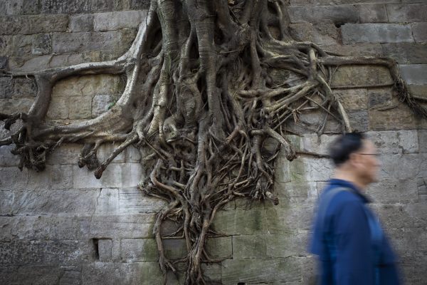 Photo: Untitled (Chongqing), by Penn Leung