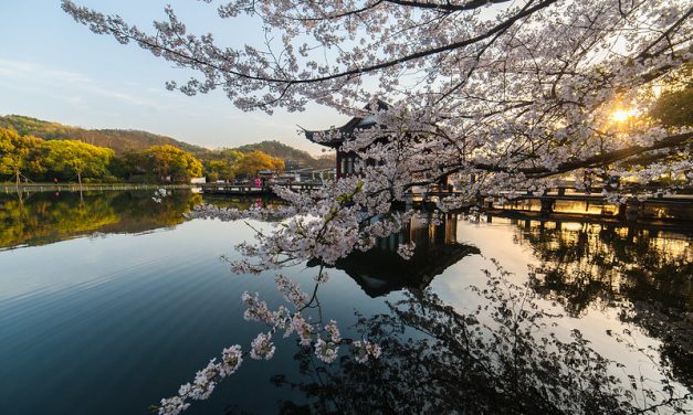 Photo: Hangzhou West Lake Cherry Blossom, by Steven Gitter