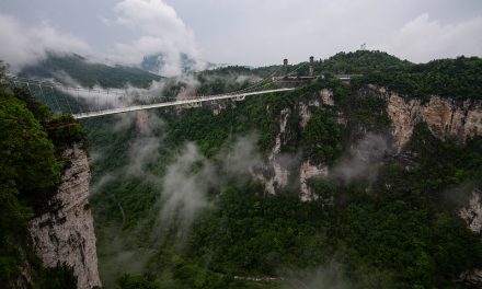Photo: Avatar Mountains (with suspension bridge), by Mark Chivers