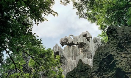 Photo: 1996 #256-11 Kunming Stone Forest of Luan, by Dan Lundberg