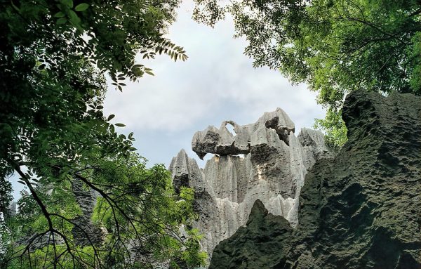Photo: 1996 #256-11 Kunming Stone Forest of Luan, by Dan Lundberg