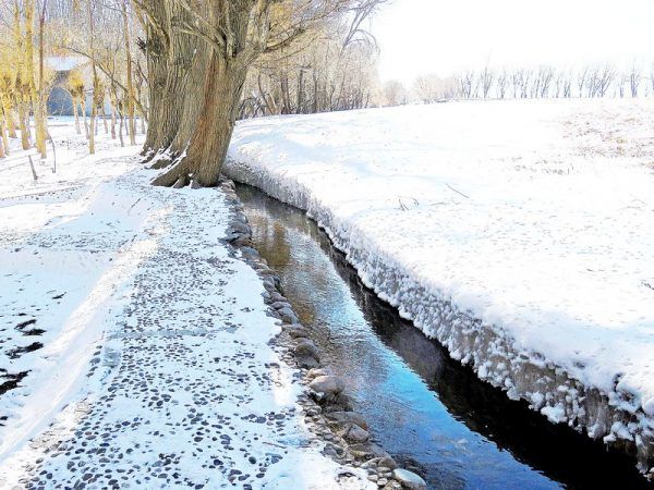 Snow covers the cobblestones on either side of a very narrow stream lined with thick-trunked trees with yellow leaves. Taken in Jiayuguan, Gansu Province, China.