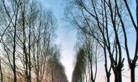 Photo: road, by Xuan Zheng
