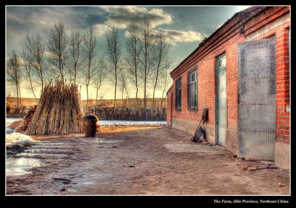 A simple one-story brick structure with metal doors and barred windows faces a muddy farmyard with stacks of sweet corn, used for heating fuel. There is some residual snow on the ground, and winter-bare trees against a clouded sky.