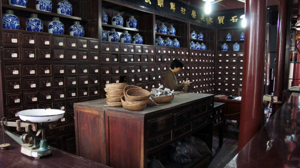 A female pharmacist at work in a traditional Chinese pharmacy, whose walls are lined with blue and white porcelain urns on shelves, and hundreds of tiny drawers containing herbs. Dozens of shallow rattan baskets cover a wooden tabletop, and an old metal scale is visible in the foreground.