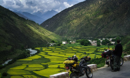 Photo: Canola fields, Motorbike Trip Tibet, by Matt Ming