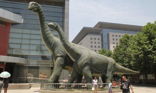 Photo: Henan Geological Museum, by Gary Todd