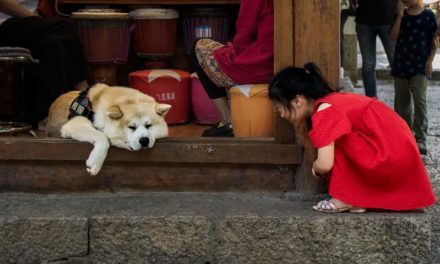 Photo: Lijiang Street, Yunnan, by Rod Waddington