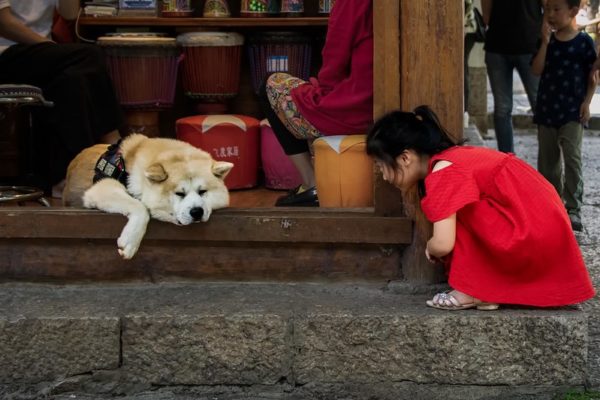 Photo: Lijiang Street, Yunnan, by Rod Waddington
