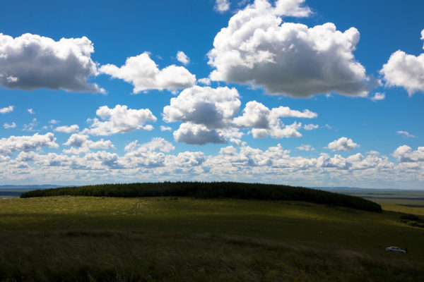 Puffy white clouds float through the blue sky over a deep green grassland in Inner Mongolia.