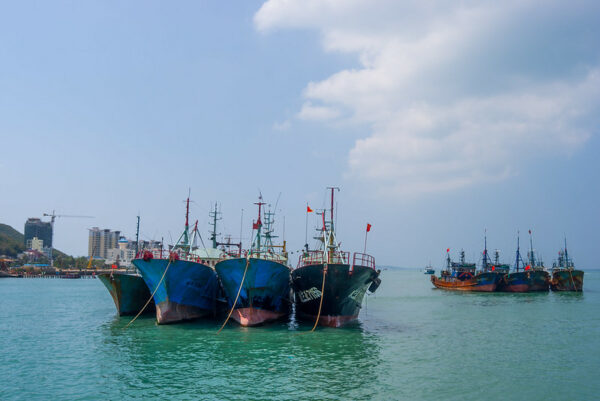Several groups of small fishing boats, either black or blue and flying Chinese flags, sit at anchor in the turquoise waters of Hainan Island’s Sanya Bay. On the land, at left, are a couple of tall buildings with construction cranes.
