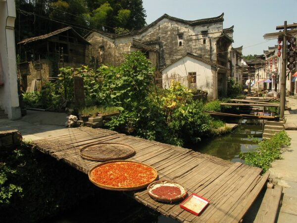 Chili peppers are spread out in several large flat circular rattan baskets to dry in the sun. The baskets have been placed on a low wooden bridge spanning a narrow canal, which is flanked by simple one-story houses with white walls and ornamental roof tiles.