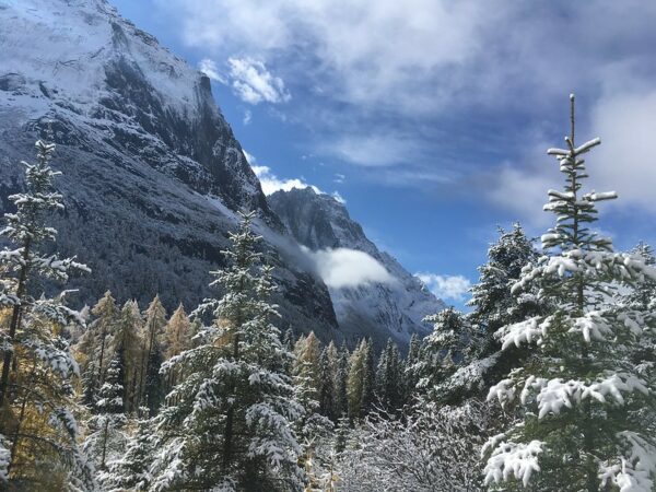 The stunning snow-covered peaks of Sichuan’s Four Sisters Mountain tower over snow-dusted pine forests.
