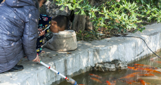 Photo: feeding the fishes, by Jordi Payà Canals
