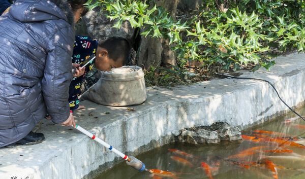 Photo: feeding the fishes, by Jordi Payà Canals