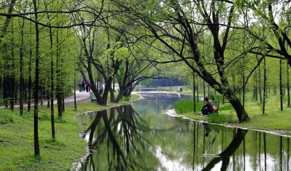 Photo: Untitled (Forest Park Shanghai, China), by sung ming whang