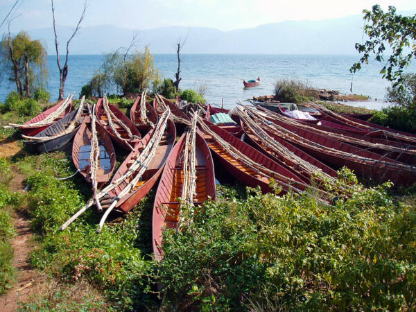 Over a dozen long, narrow, reddish boats with long bamboo poles sit at rest amongst the foliage on the shore of Yunnan’s Fuxian Hu, China’s third-largest freshwater lake. 